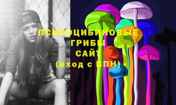 бошки Баксан