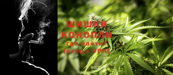 сатива Балабаново